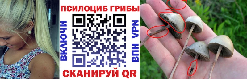 ссылка на мегу как войти хочу Астрахань Псилоцибиновые грибы GOLDEN TEACHER