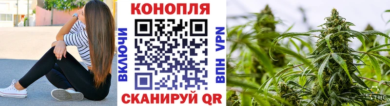 Марихуана OG Kush Астрахань